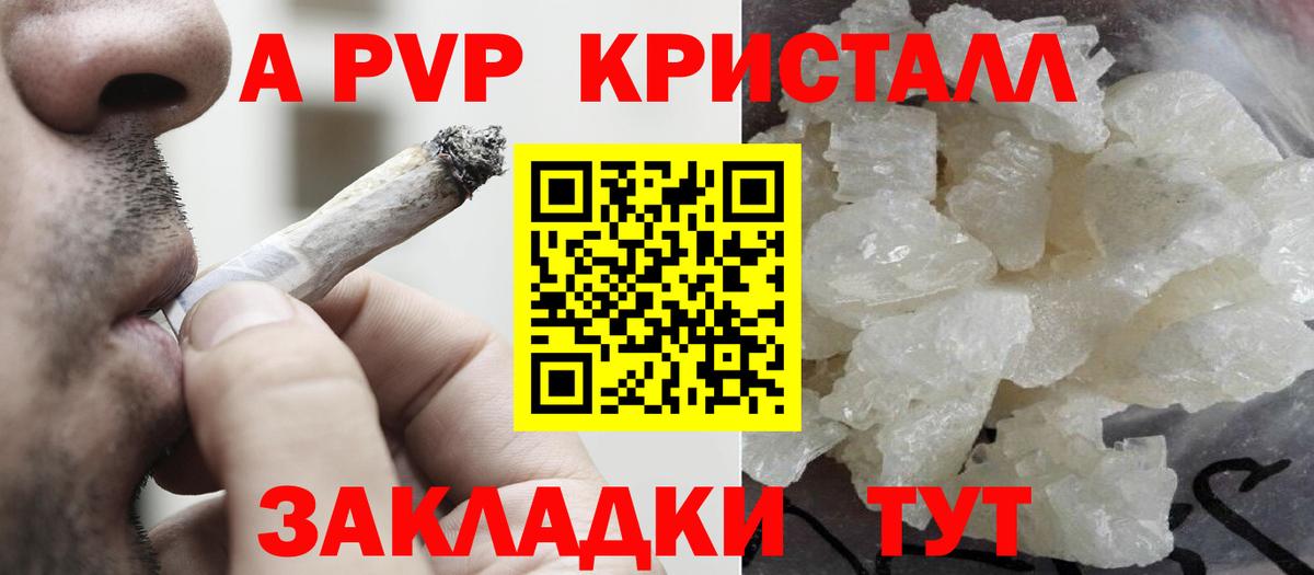 Alfa_PVP СК Люберцы