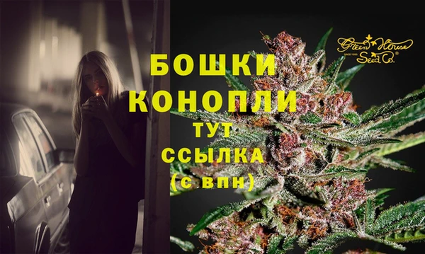 твердый Магас