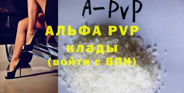 твердый Магас