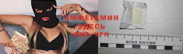 твердый Магас