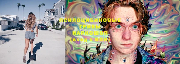 твердый Магас