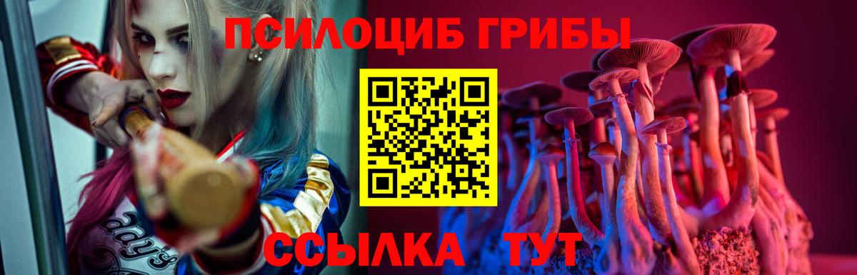 Галлюциногенные грибы Psilocybe  Галлюциногенные грибы Cubensis  Вход с VPN  Люберцы 
